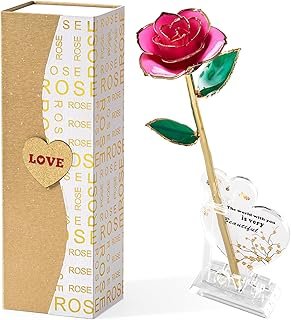 Rosa real bañada en oro 24K preservada a mano regalo romántico