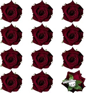 Pinzas Florales Mexicanas Artesanales para Mujer y Niña